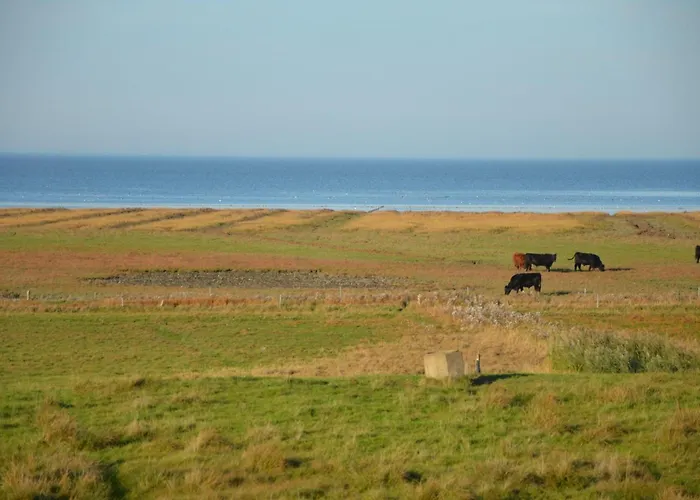 Litzkow 12808 Vakantiehuis *